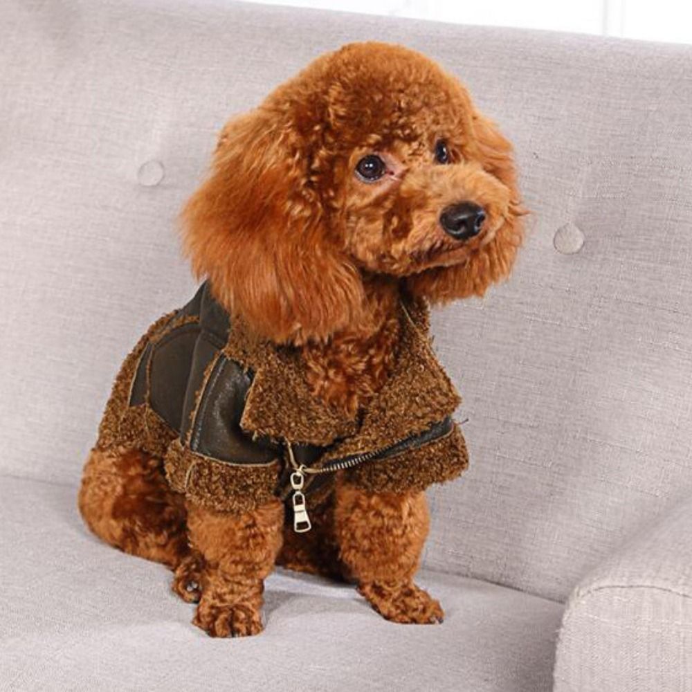 Motorcycle Gear Dogs - Теплое пальто для собак, утолщенная кожаная