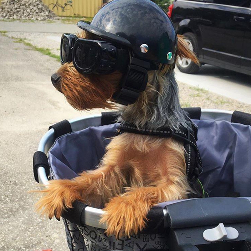 Motorcycle Gear Dogs - Шлемы для домашних животных, велосипедный мотоциклетный