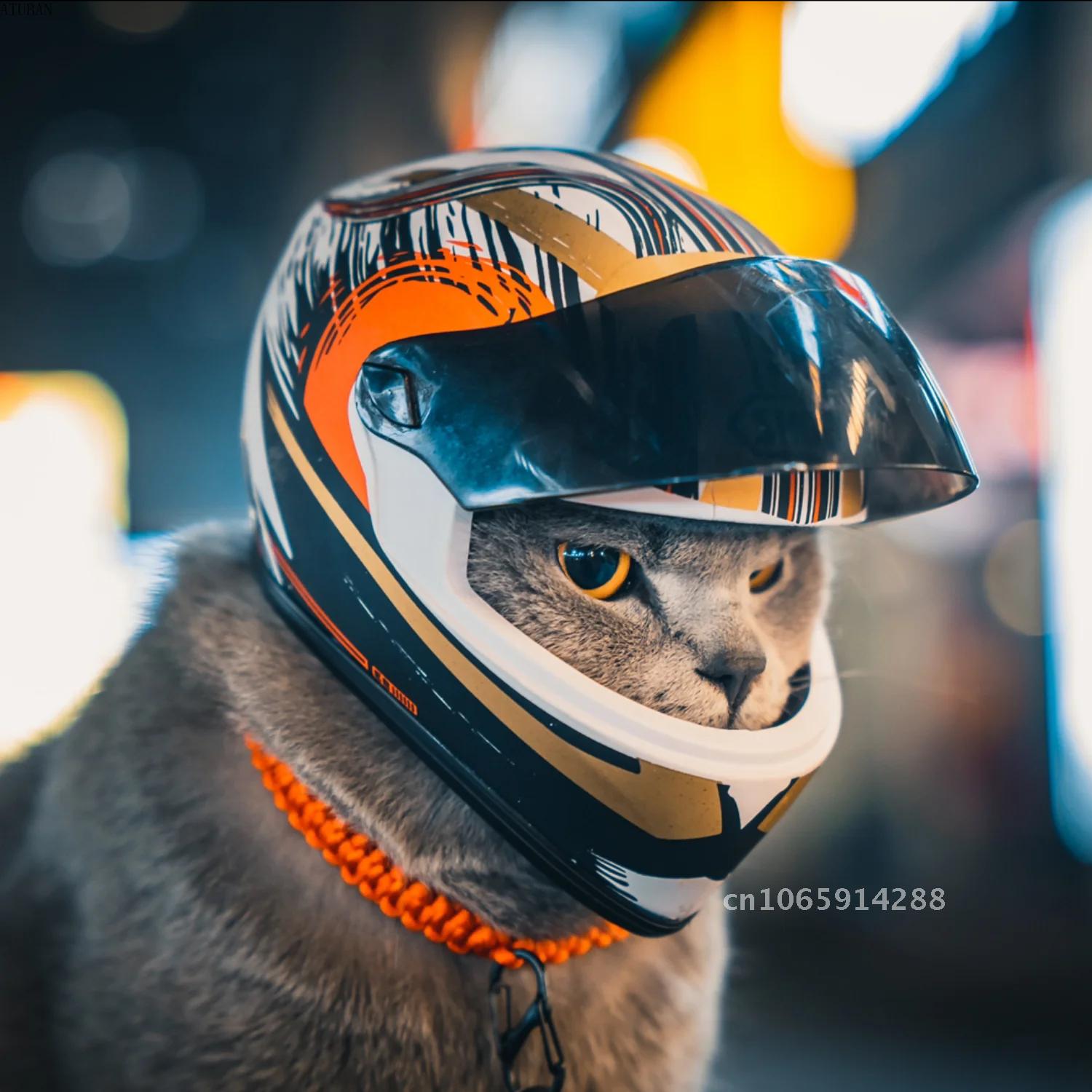 Motorcycle Gear Dogs - Фото-кепки для домашних животных: шлемы для