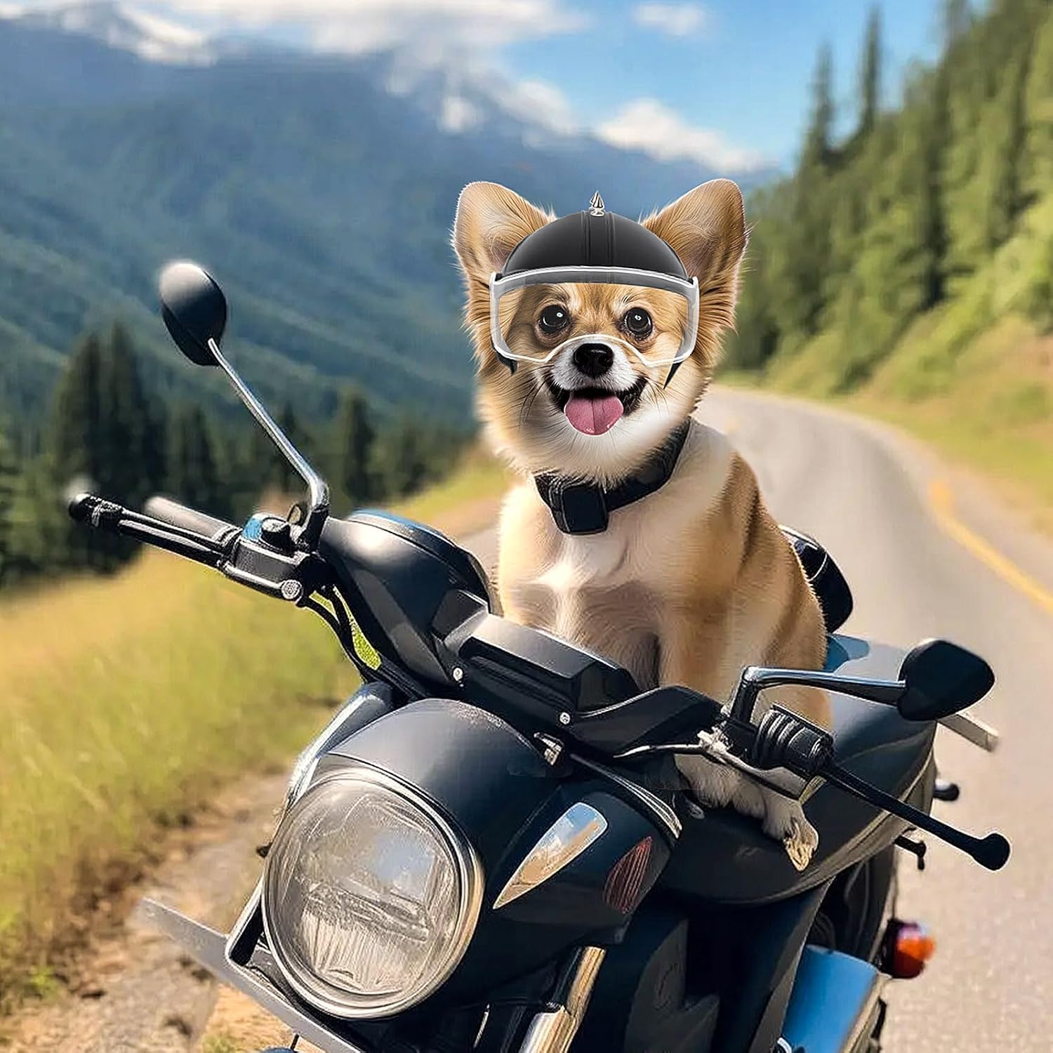Motorcycle Gear Dogs - Мотошлем для маленьких собак с отверстиями