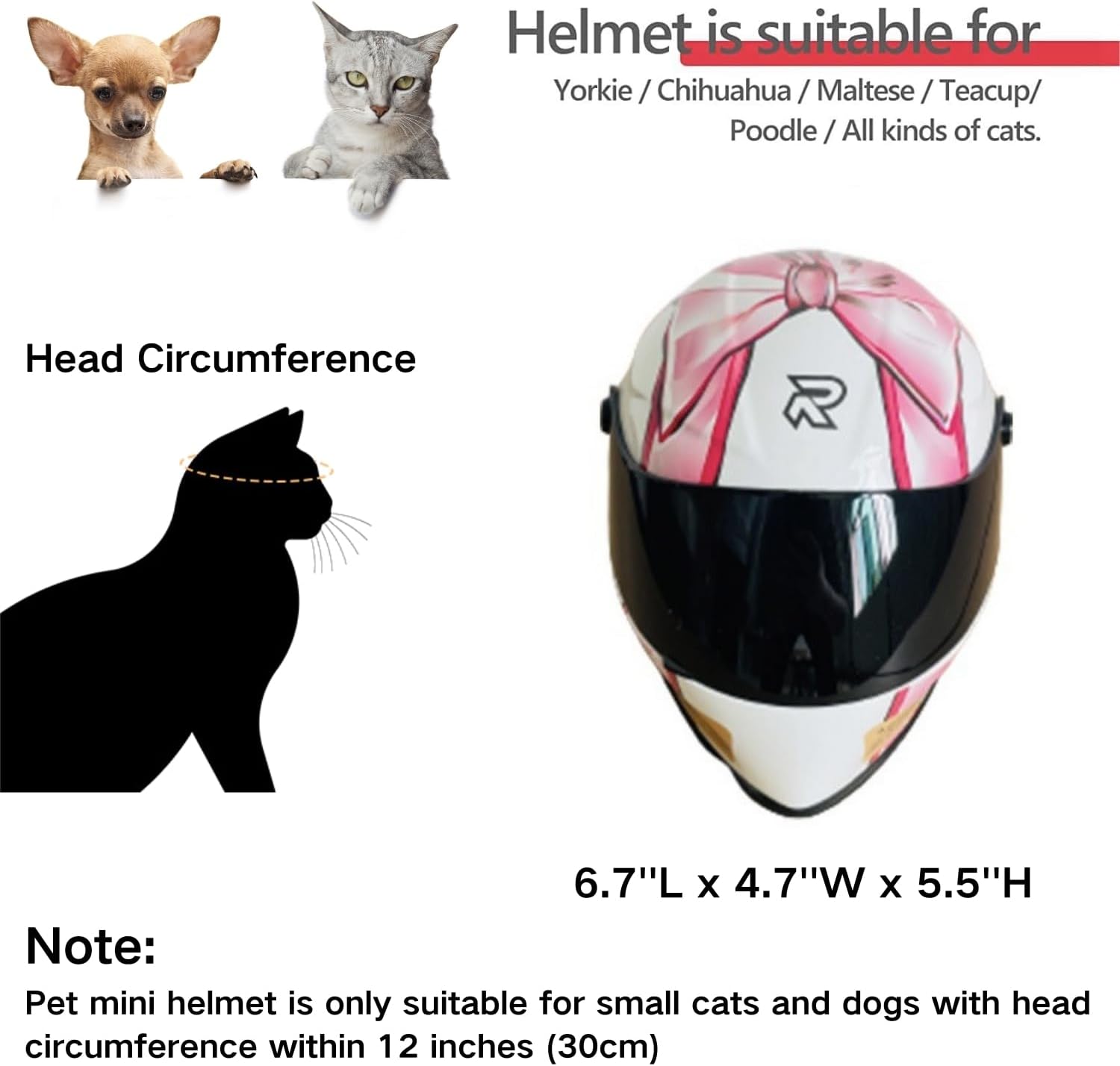 Мотоциклетный шлем для кошек,  – обзор и цена Motorcycle Gear Dogs