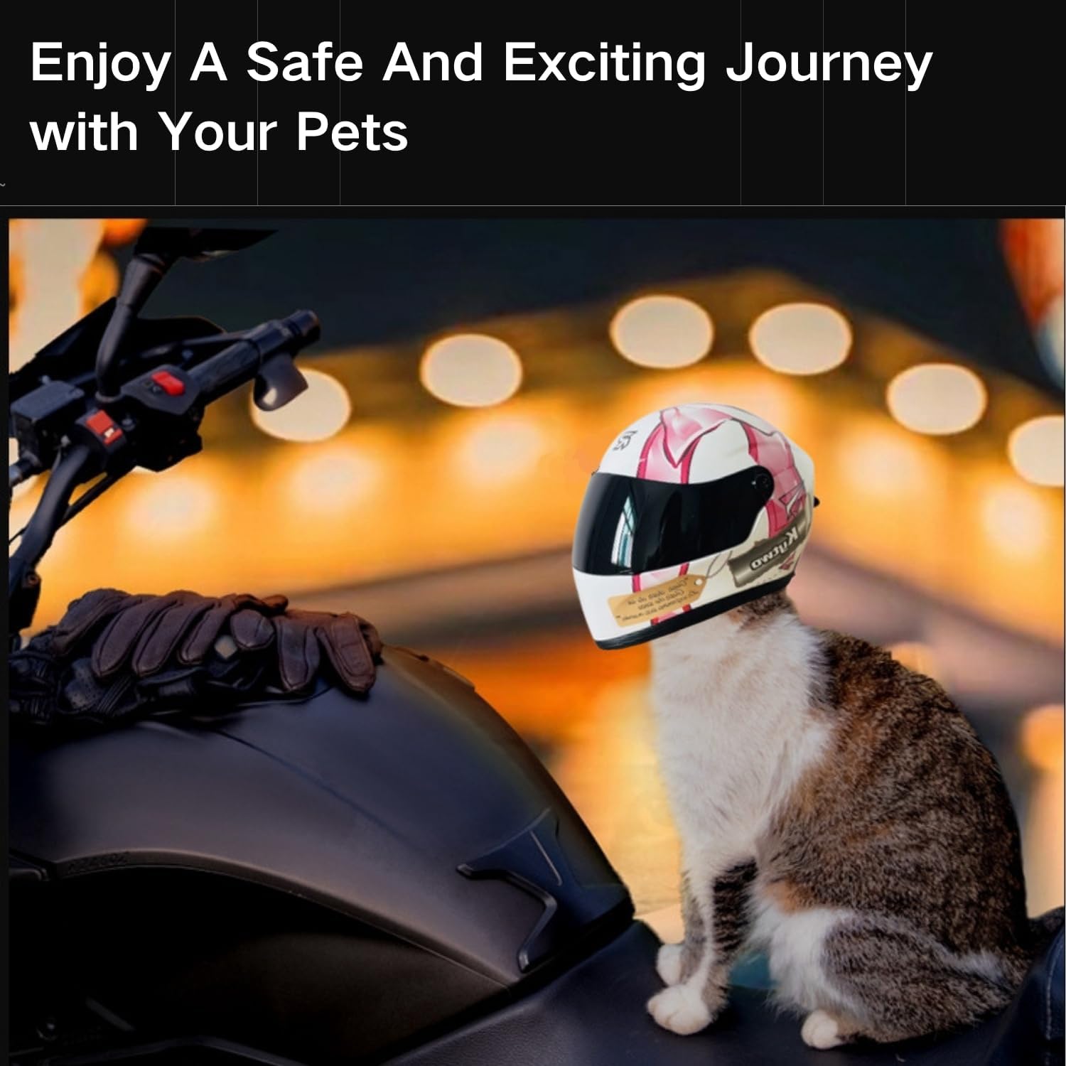 Мотоциклетный шлем для кошек,  – обзор и цена Motorcycle Gear Dogs