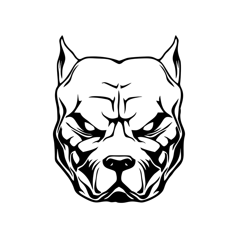 Светоотражающие автомобильные  – обзор и цена Motorcycle Gear Dogs