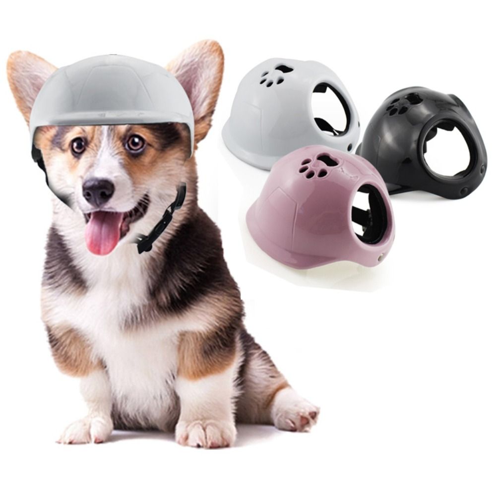 Пластиковые шлемы для собак с  – обзор и цена Motorcycle Gear Dogs