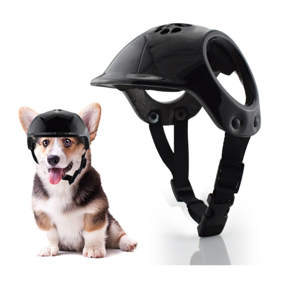 Пластиковые шлемы для собак с  – обзор и цена Motorcycle Gear Dogs
