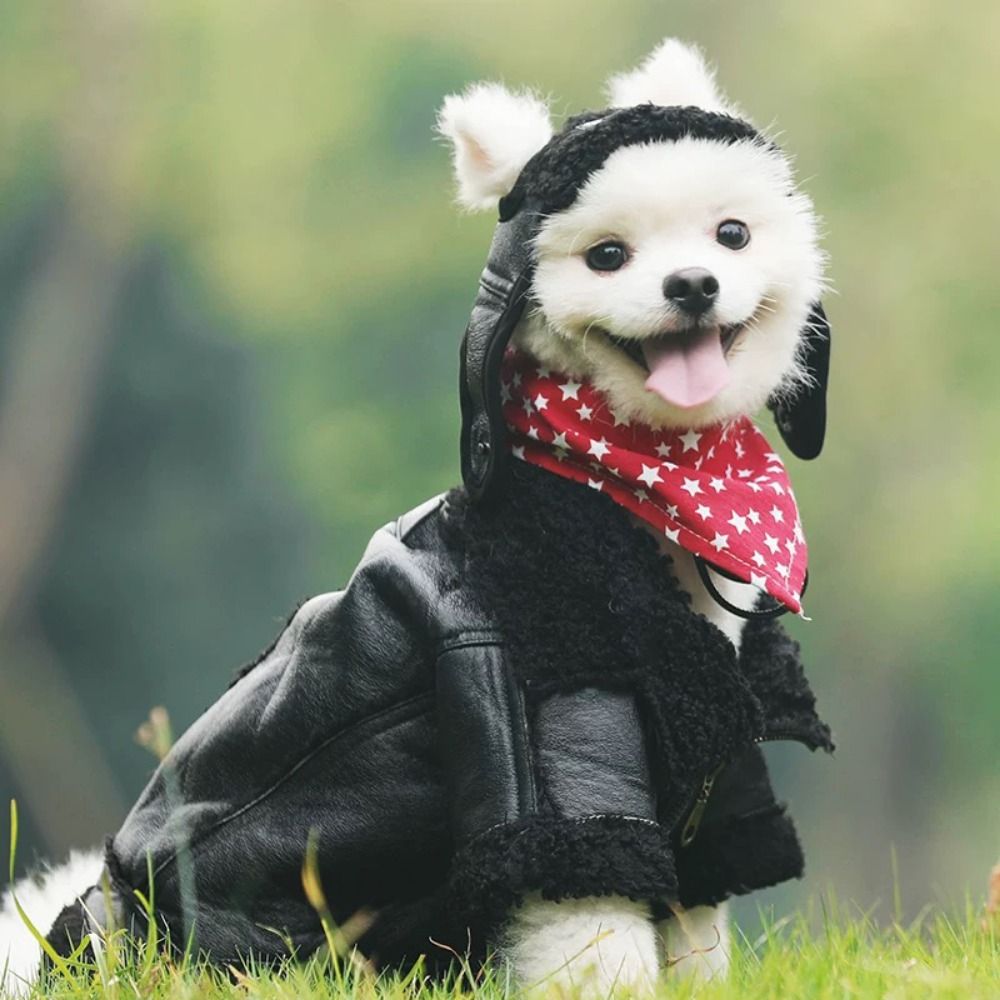 Теплое пальто для собак, утолщ – обзор и цена Motorcycle Gear Dogs