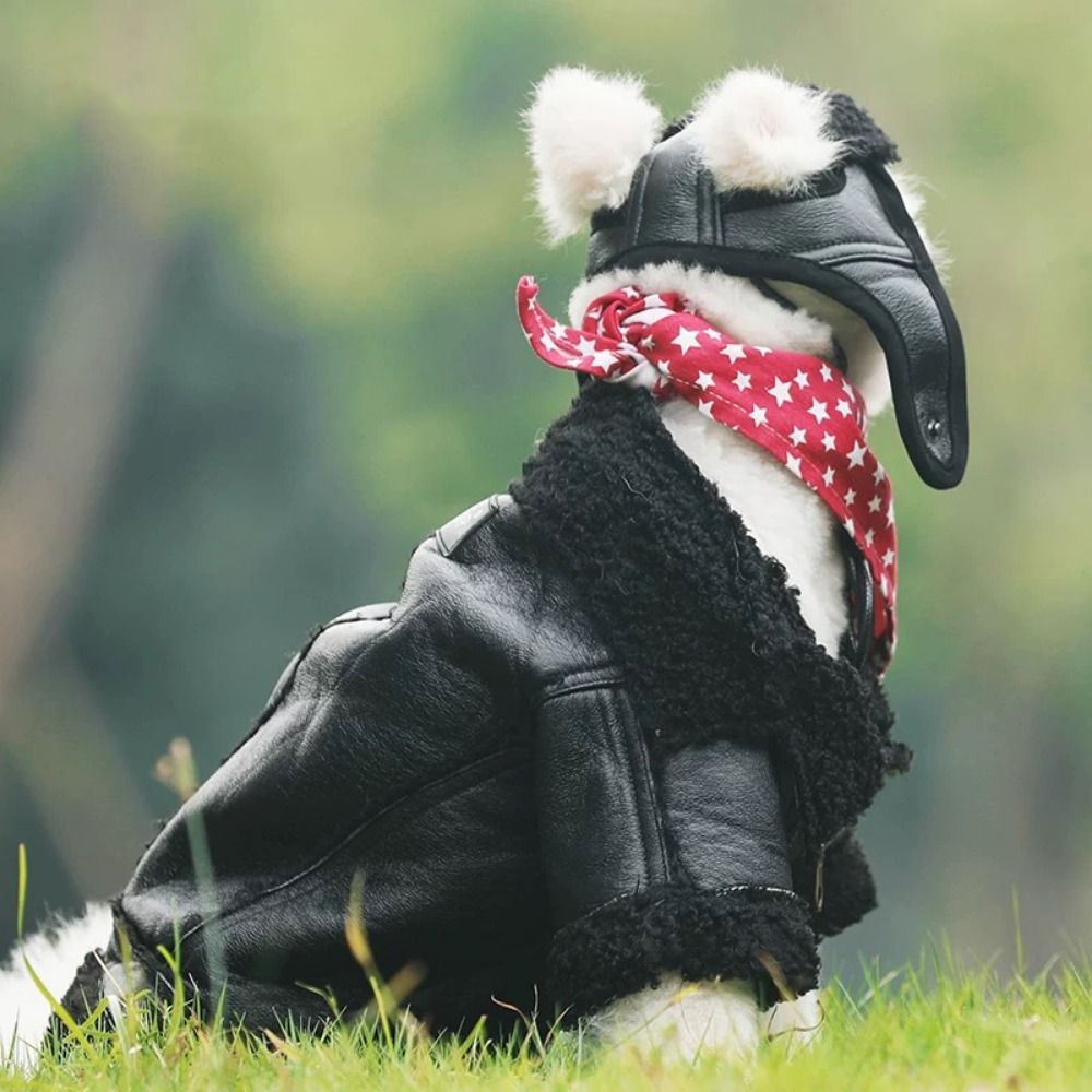 Теплое пальто для собак, утолщ – обзор и цена Motorcycle Gear Dogs