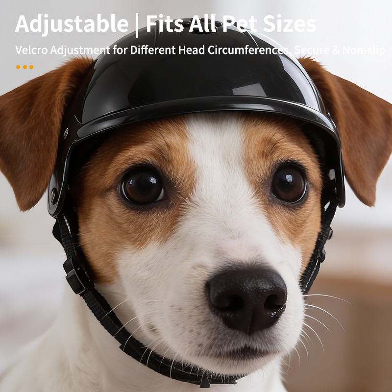 Шлем для собак и кошек: мотоци – обзор и цена Motorcycle Gear Dogs