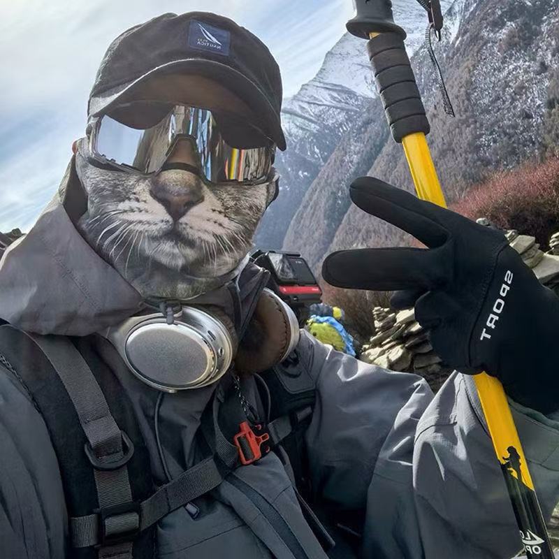3d кошка собака милые животные – обзор и цена Motorcycle Gear Dogs