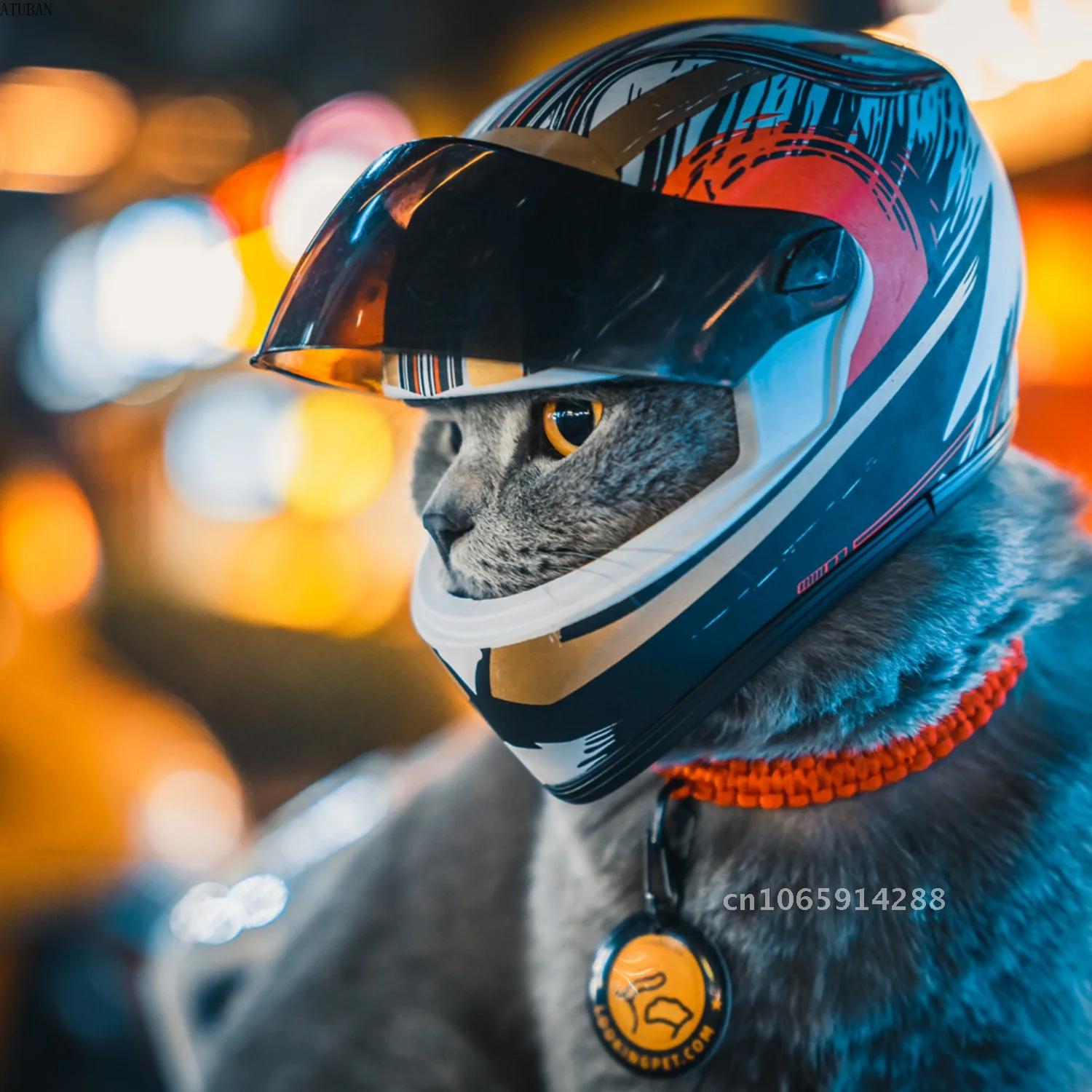 Фото-кепки для домашних животн – обзор и цена Motorcycle Gear Dogs