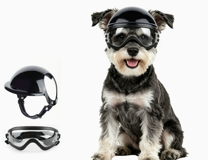 Набор: солнцезащитные очки и ш – обзор и цена Motorcycle Gear Dogs